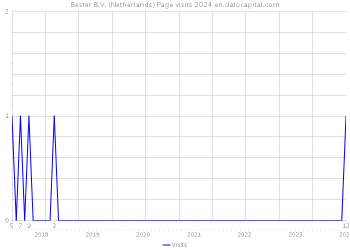 Bester B.V. (Netherlands) Page visits 2024 