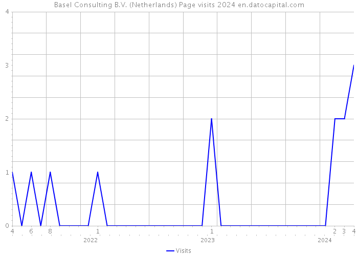 Basel Consulting B.V. (Netherlands) Page visits 2024 