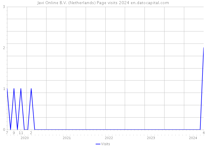 Javi Online B.V. (Netherlands) Page visits 2024 