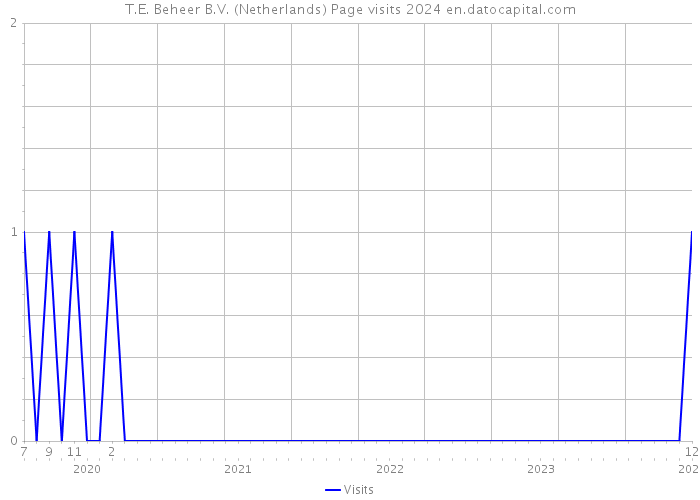 T.E. Beheer B.V. (Netherlands) Page visits 2024 
