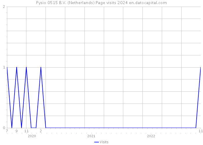 Fysio 0515 B.V. (Netherlands) Page visits 2024 