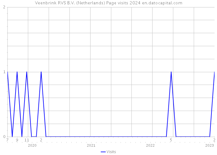 Veenbrink RVS B.V. (Netherlands) Page visits 2024 