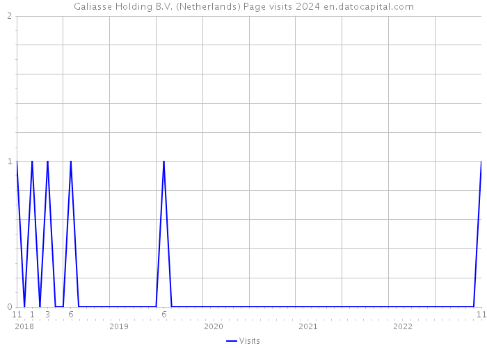 Galiasse Holding B.V. (Netherlands) Page visits 2024 