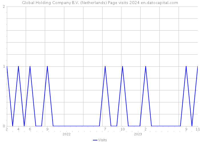 Global Holding Company B.V. (Netherlands) Page visits 2024 