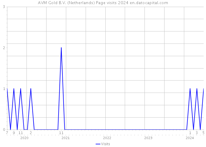 AVM Gold B.V. (Netherlands) Page visits 2024 