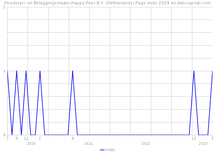 Houdster- en Beleggingsmaatschappij Petri B.V. (Netherlands) Page visits 2024 