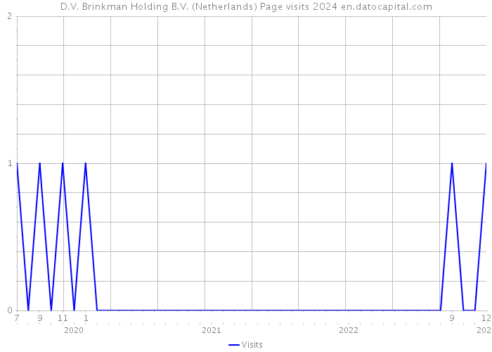 D.V. Brinkman Holding B.V. (Netherlands) Page visits 2024 