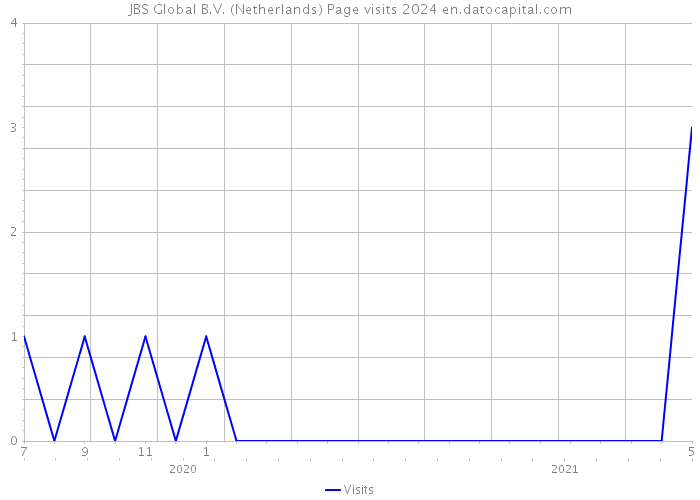 JBS Global B.V. (Netherlands) Page visits 2024 