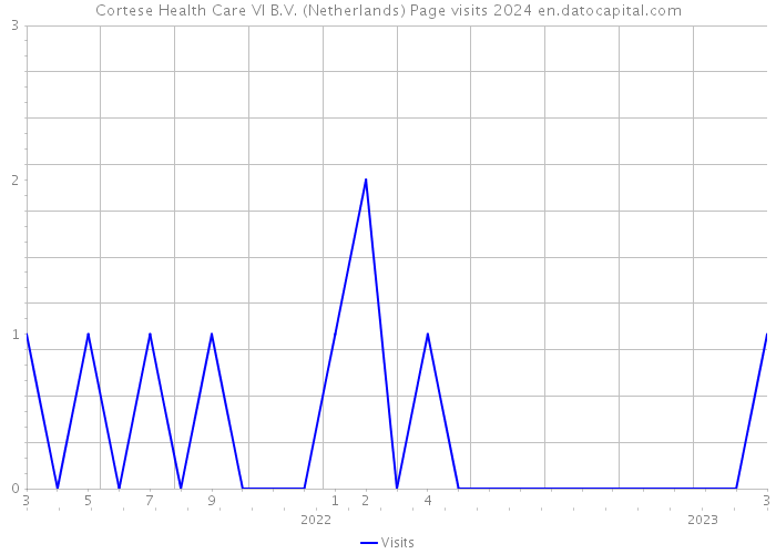 Cortese Health Care VI B.V. (Netherlands) Page visits 2024 