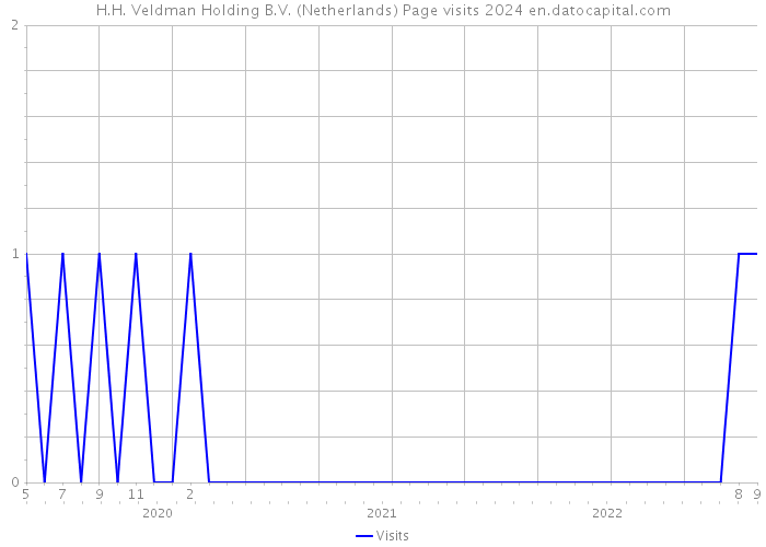 H.H. Veldman Holding B.V. (Netherlands) Page visits 2024 