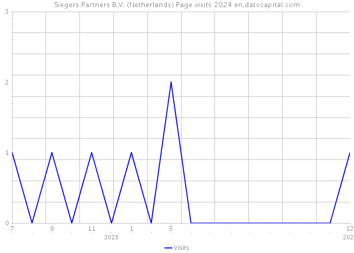 Siegers Partners B.V. (Netherlands) Page visits 2024 
