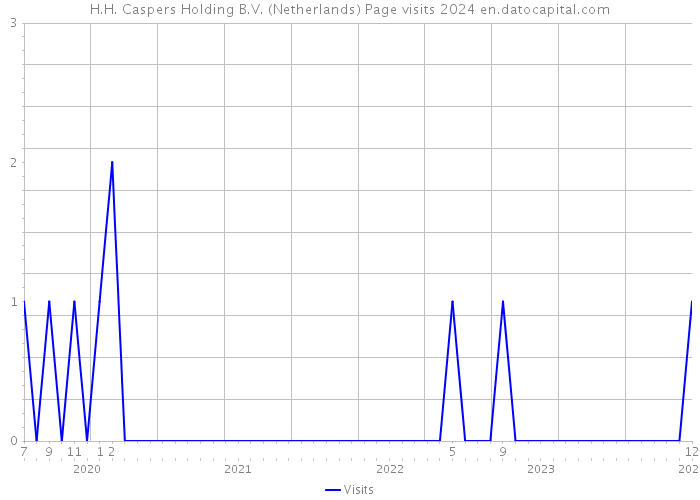 H.H. Caspers Holding B.V. (Netherlands) Page visits 2024 