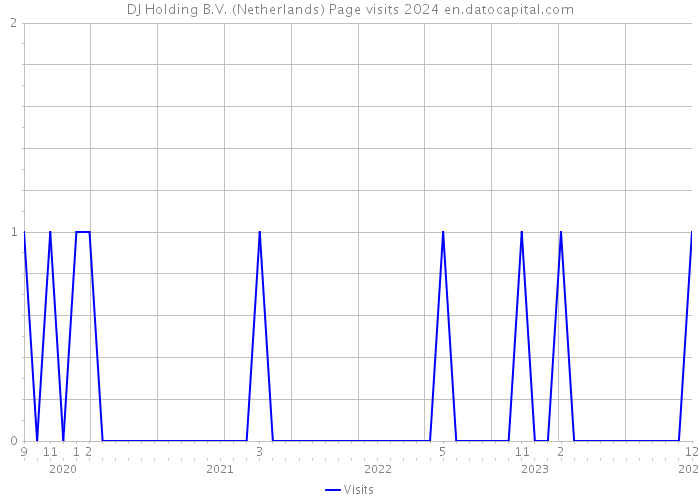 DJ Holding B.V. (Netherlands) Page visits 2024 