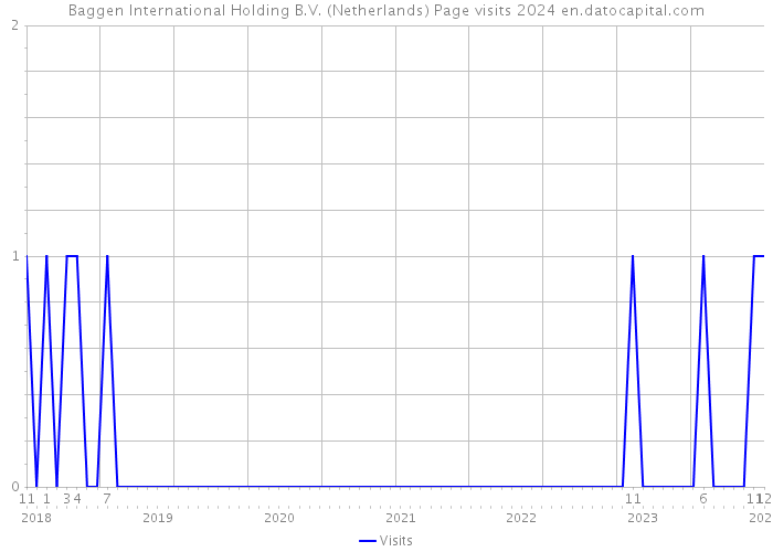 Baggen International Holding B.V. (Netherlands) Page visits 2024 