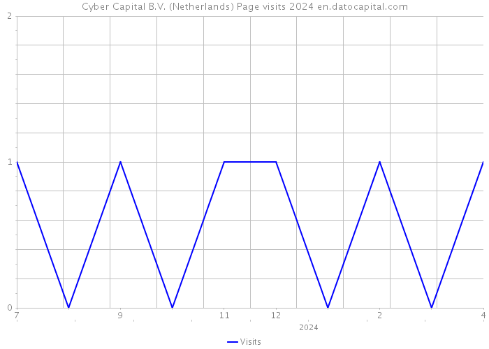 Cyber Capital B.V. (Netherlands) Page visits 2024 