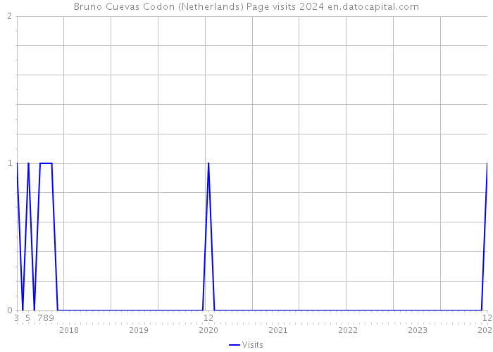 Bruno Cuevas Codon (Netherlands) Page visits 2024 