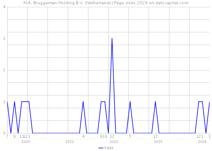 H.A. Bruggeman Holding B.V. (Netherlands) Page visits 2024 