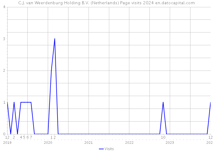 C.J. van Weerdenburg Holding B.V. (Netherlands) Page visits 2024 