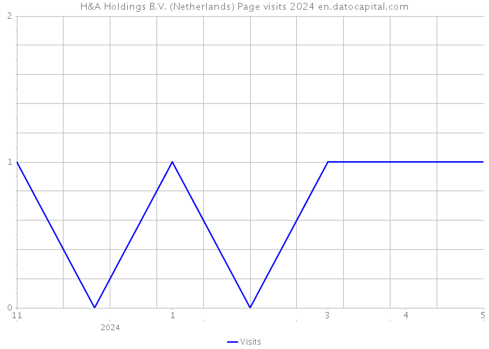 H&A Holdings B.V. (Netherlands) Page visits 2024 