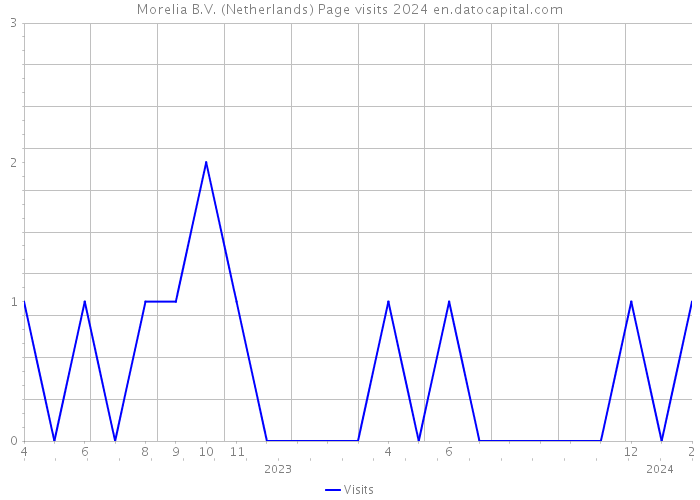 Morelia B.V. (Netherlands) Page visits 2024 