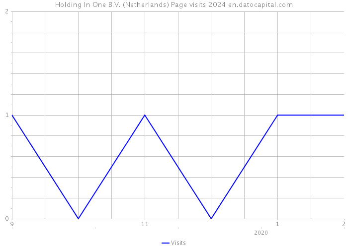 Holding In One B.V. (Netherlands) Page visits 2024 