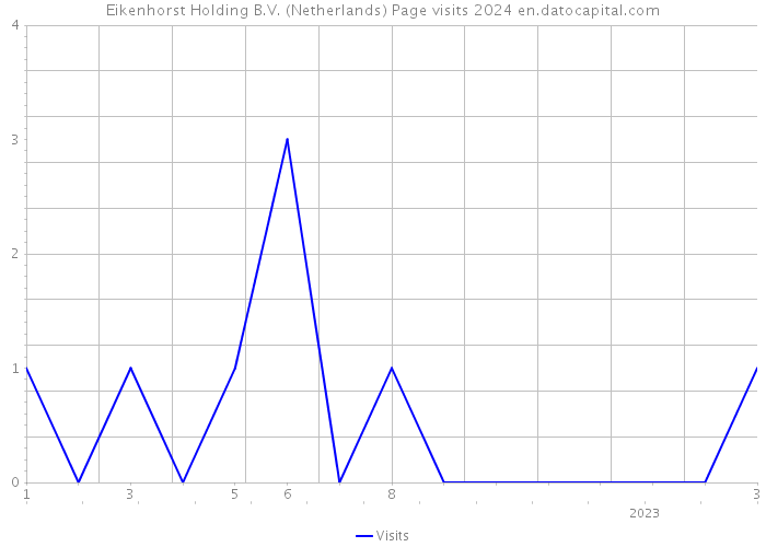 Eikenhorst Holding B.V. (Netherlands) Page visits 2024 