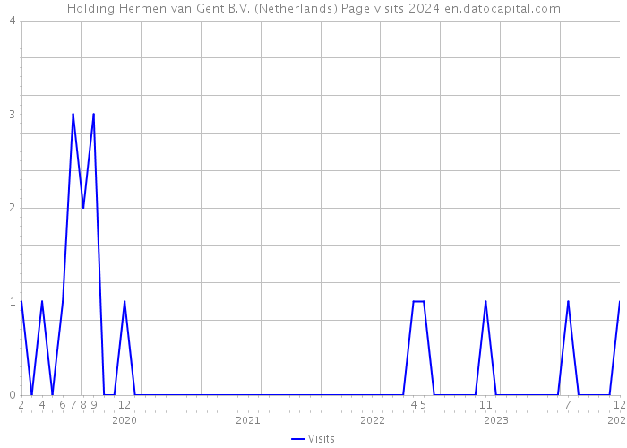 Holding Hermen van Gent B.V. (Netherlands) Page visits 2024 