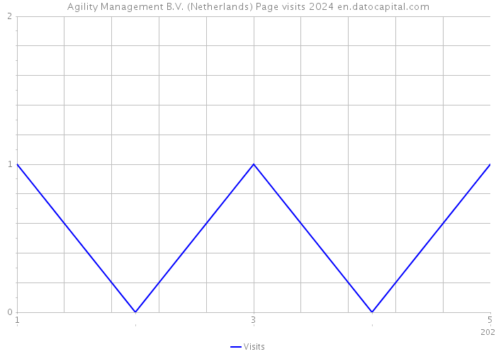 Agility Management B.V. (Netherlands) Page visits 2024 