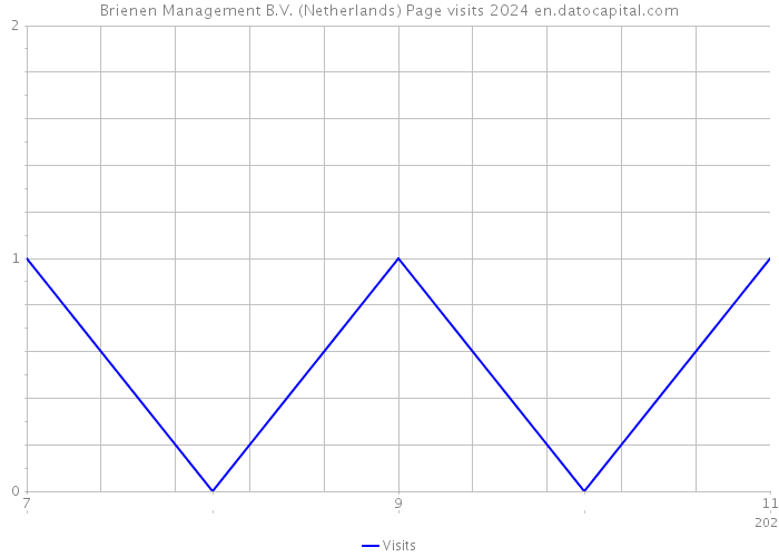 Brienen Management B.V. (Netherlands) Page visits 2024 