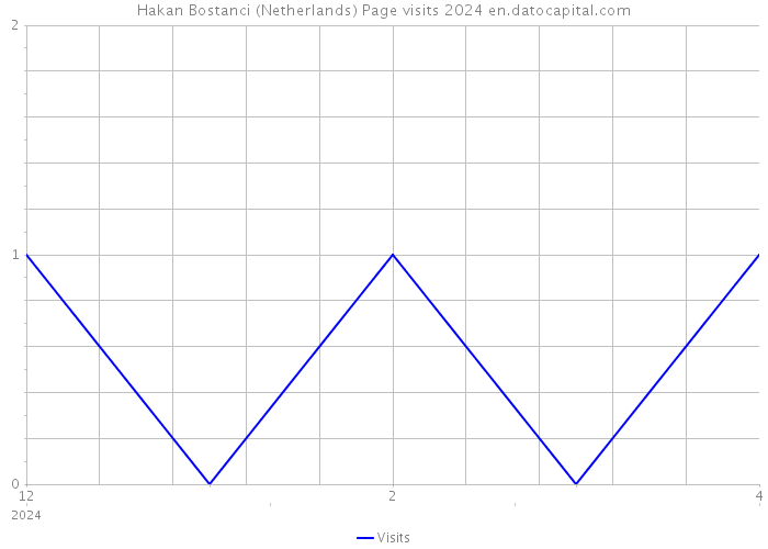 Hakan Bostanci (Netherlands) Page visits 2024 