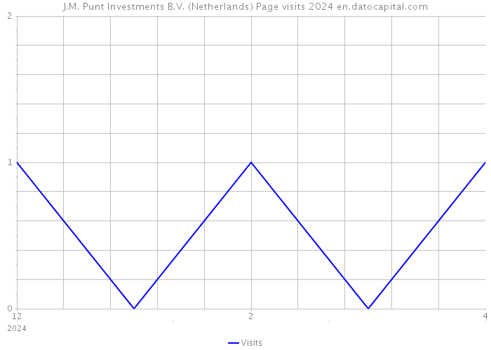 J.M. Punt Investments B.V. (Netherlands) Page visits 2024 