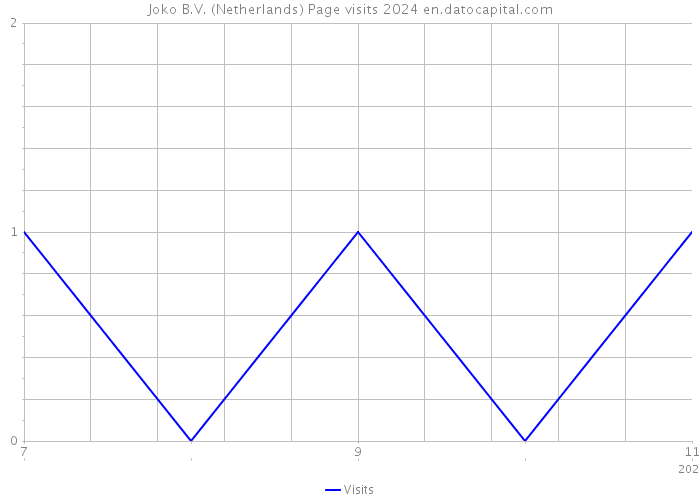 Joko B.V. (Netherlands) Page visits 2024 