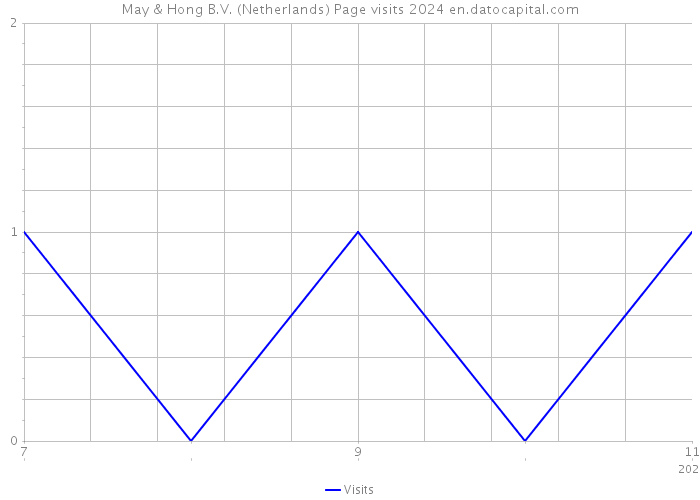 May & Hong B.V. (Netherlands) Page visits 2024 