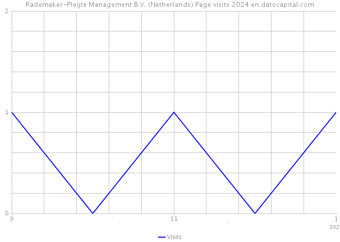 Rademaker-Pleijte Management B.V. (Netherlands) Page visits 2024 