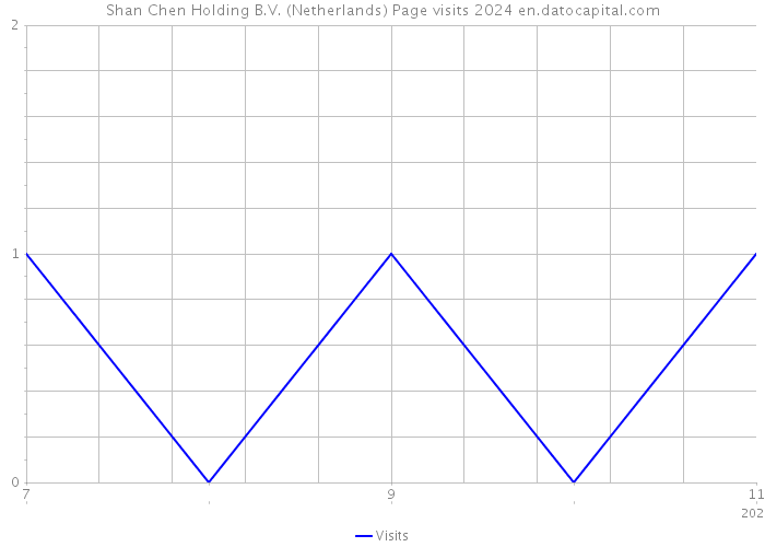 Shan Chen Holding B.V. (Netherlands) Page visits 2024 