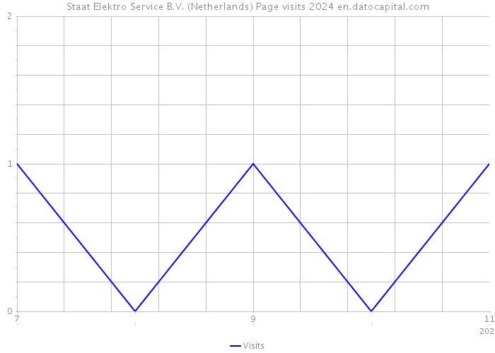 Staat Elektro Service B.V. (Netherlands) Page visits 2024 