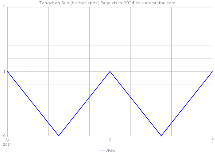 Tengchen Sun (Netherlands) Page visits 2024 