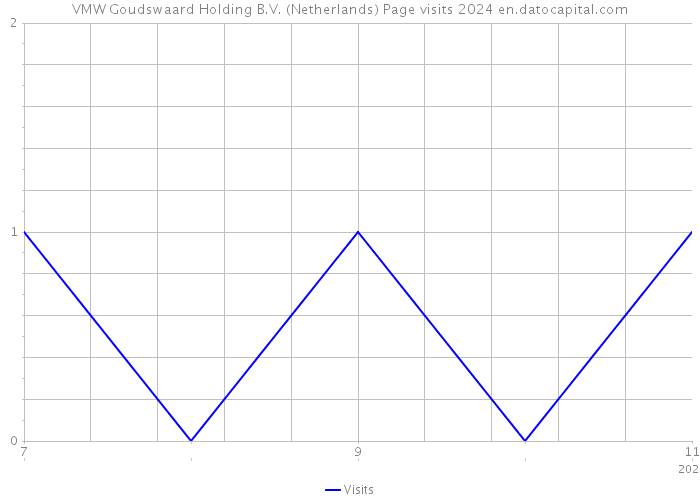 VMW Goudswaard Holding B.V. (Netherlands) Page visits 2024 