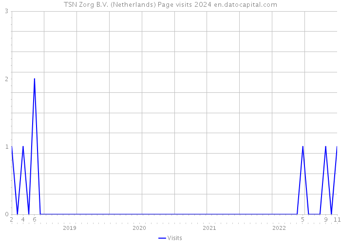 TSN Zorg B.V. (Netherlands) Page visits 2024 