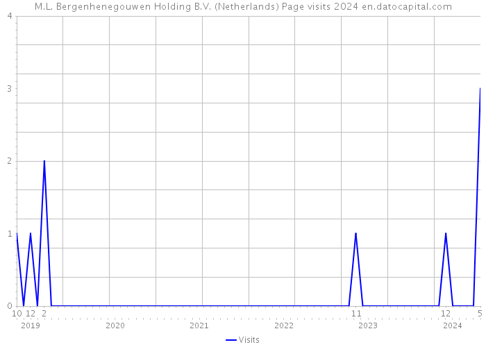 M.L. Bergenhenegouwen Holding B.V. (Netherlands) Page visits 2024 