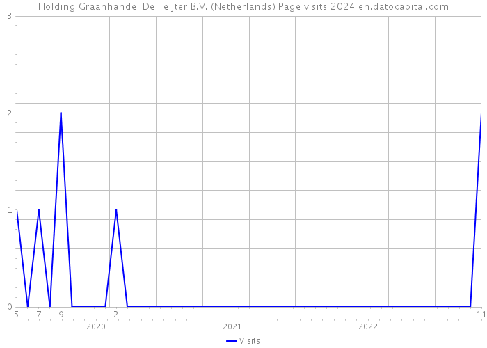 Holding Graanhandel De Feijter B.V. (Netherlands) Page visits 2024 