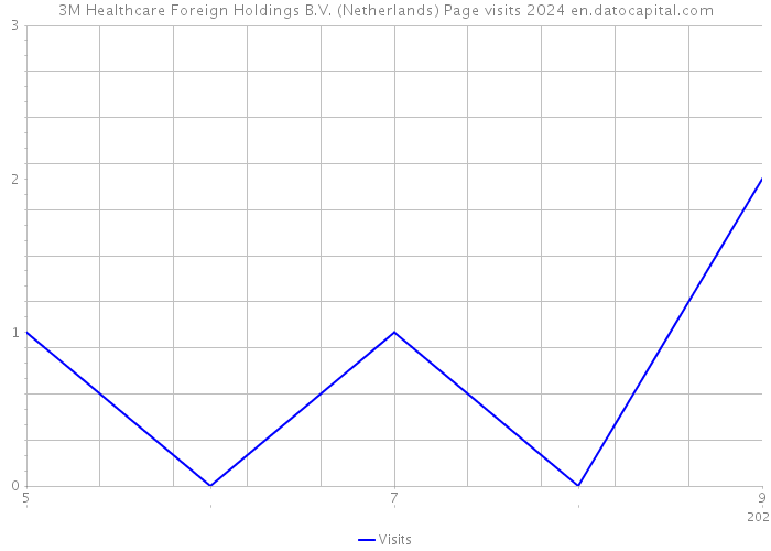 3M Healthcare Foreign Holdings B.V. (Netherlands) Page visits 2024 