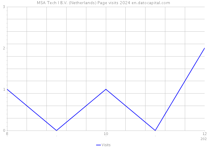 MSA Tech I B.V. (Netherlands) Page visits 2024 