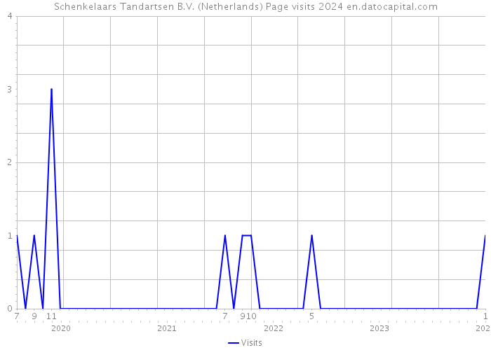 Schenkelaars Tandartsen B.V. (Netherlands) Page visits 2024 