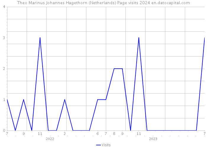 Theo Marinus Johannes Hagethorn (Netherlands) Page visits 2024 