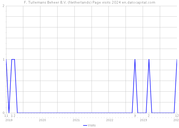 F. Tullemans Beheer B.V. (Netherlands) Page visits 2024 