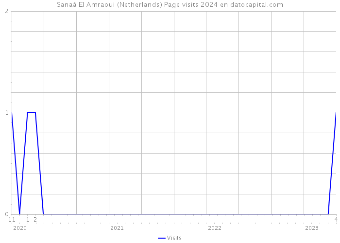 Sanaâ El Amraoui (Netherlands) Page visits 2024 