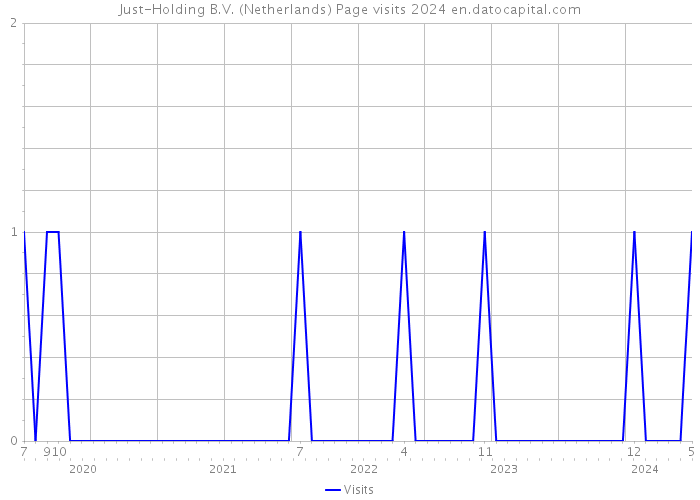 Just-Holding B.V. (Netherlands) Page visits 2024 