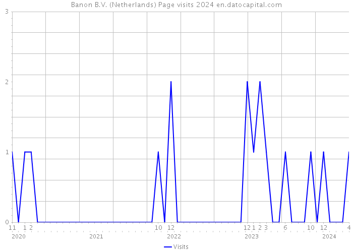 Banon B.V. (Netherlands) Page visits 2024 