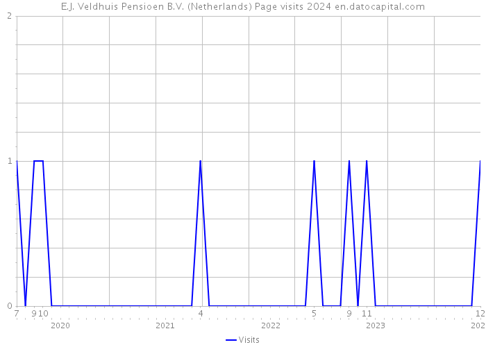 E.J. Veldhuis Pensioen B.V. (Netherlands) Page visits 2024 